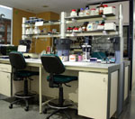 Laboratori