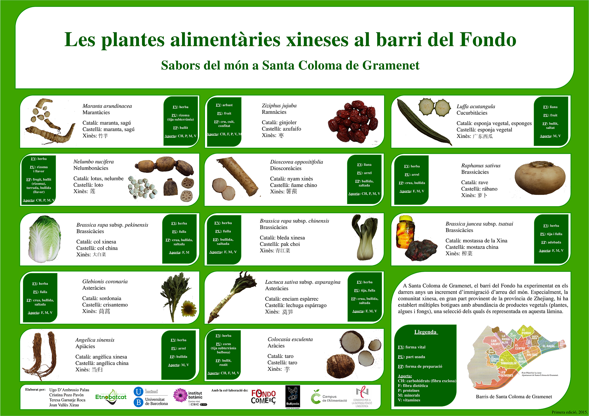 Pòster 13 plantes Fondo_001