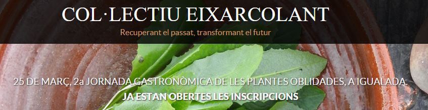 plantes