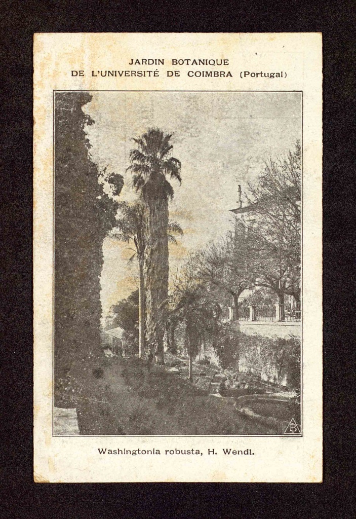 Portugal, Jardín Botánico de la Universidad de Coímbra, 1928.