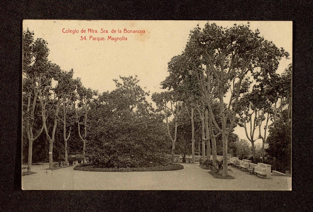 Colegio de Ntra. Sra. De la Bonanova, parque, magnolia, 1932.