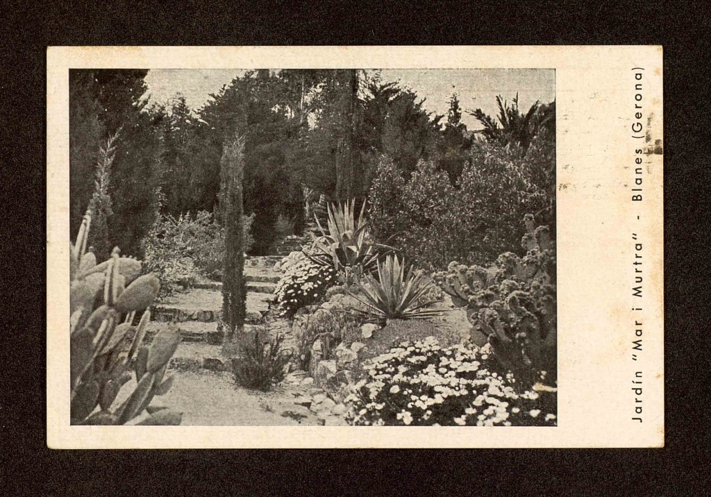 Blanes, Marimurtra Gardens, 1936.