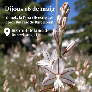 Sortida botánica a Barcelona