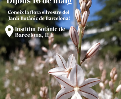 Sortida botánica a Barcelona