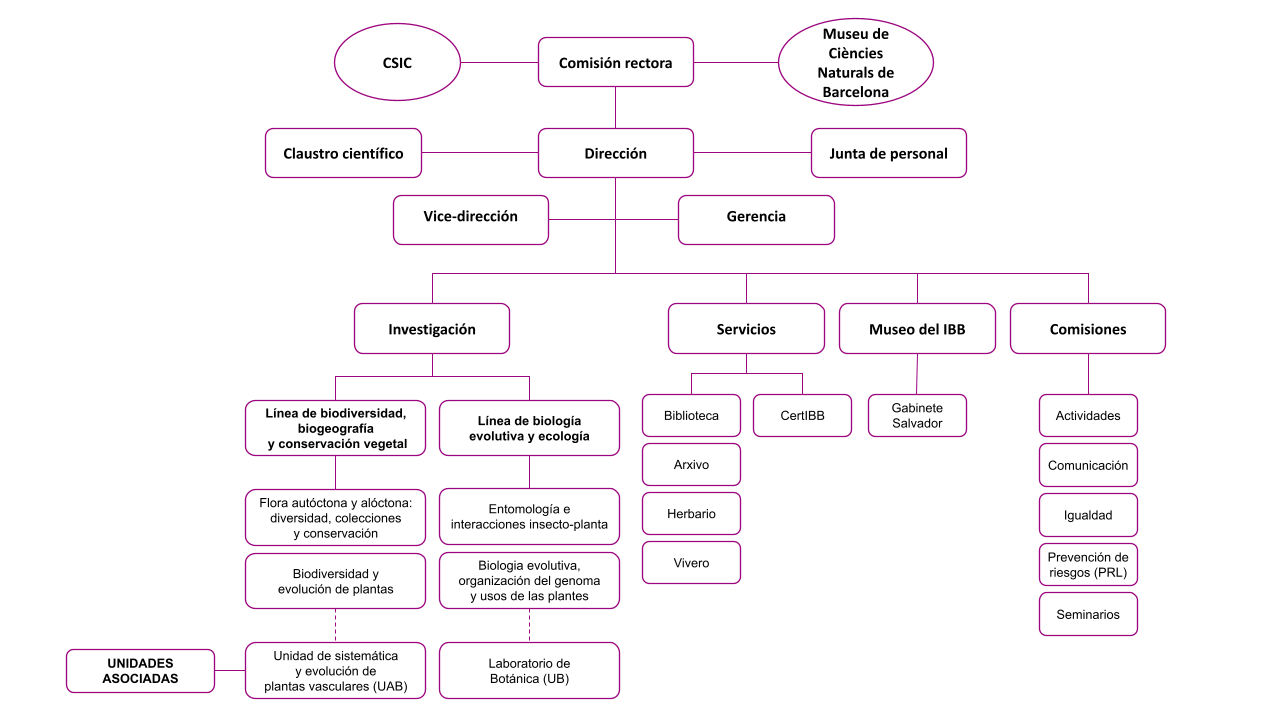 organigrama
