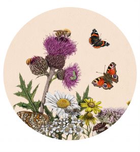 Ilustración