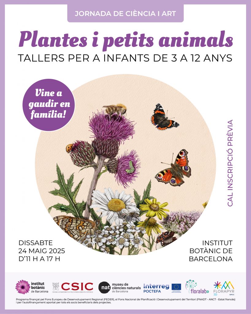 Plantas y pequeños animales